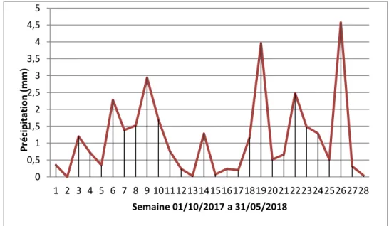 Figure n°05 : La pluviométrie de la compagne agricole 2017/2018  1-1-1-2-Température minimal 