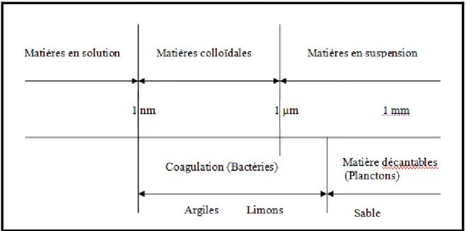 Figure I – 7 : Les polluants physiques, échelle de dimensions et états correspondants [29]