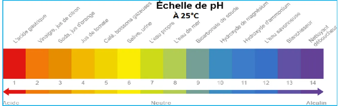 Figure I.1 Échelle du pH à 25°C. 