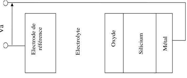Figure I.9 Schéma de la structure EOS [16]. 