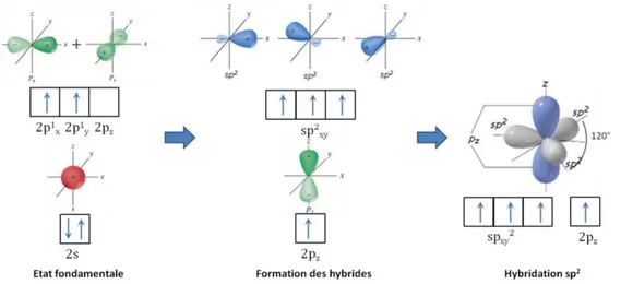 Figure II.4 Mécanisme d’hybridation 
