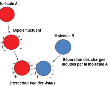 Tableau III.1: Forces de Van der Waals et de pesanteur en fonction de la taille des particules,  d’après Higuchi [26]