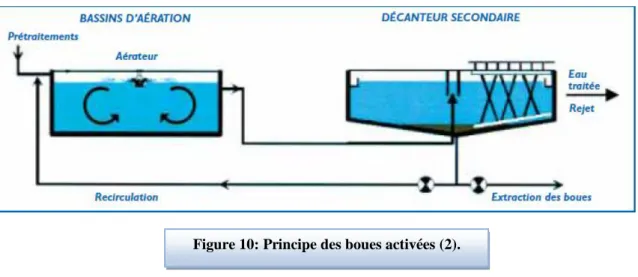 Figure 10: Principe des boues activées (2). 