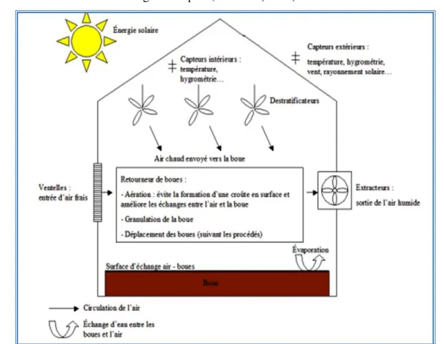 Tableau 2 : Les buts de chaque étape du traitement des boues (Roula,2005). 