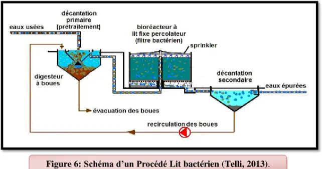 Figure 6: Schéma d’un Procédé Lit bactérien (Telli, 2013).