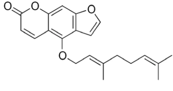 Figure 09: Formule de chimique de la bergamotine. 