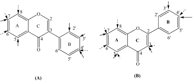 Figure  1.  Structure  des  flavonoïdes :  A  sont  des  isoflavones;  et  B  sont  des  flavones  et  flavonols