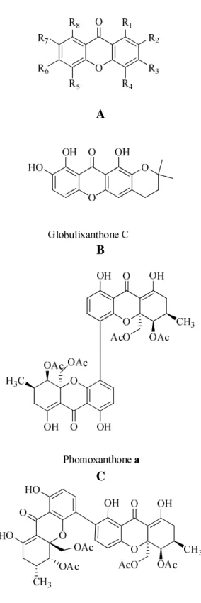 Figure 5. Dérives des xanthones biologiquemnet actifs 
