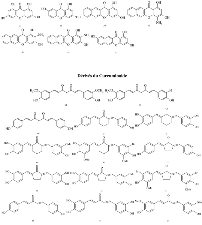 Figure 1.  Structures développées des dérivés des xanthones et curcuminoides