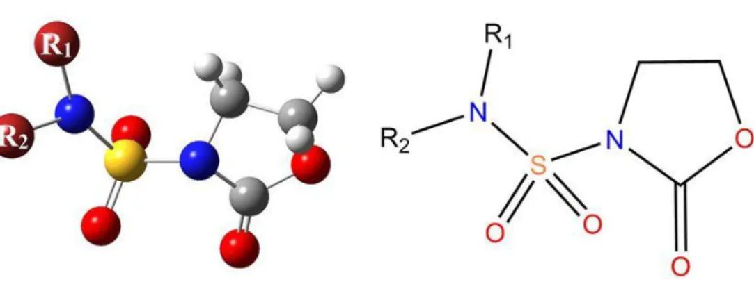 Figure II.1. Structure chimique des N-sulfamoyloxazolidinones.