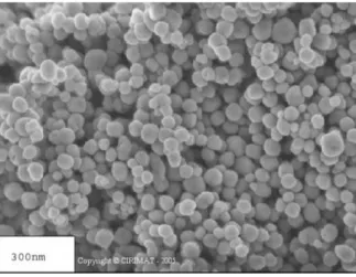 Figure 4 : Des nanoparticules observées par microscopie électronique (3). 