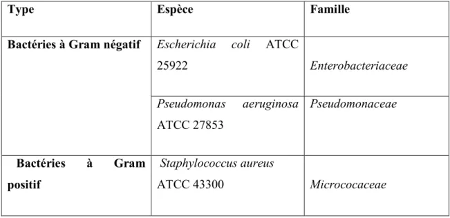 Tableau 02 : Liste des microorganismes testés. 