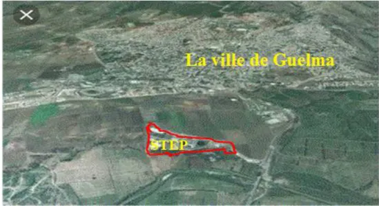 Figure 03: carte de localisation de la STEP de Guelma (Saidia, 2019).