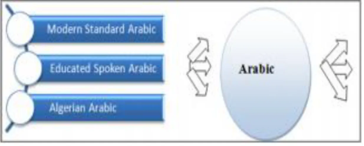 Figure 1.1. Different facets of Arabic. 