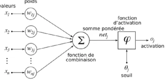 Figure 2.5 : Exemple de perceptron multicouche élémentaire avec une couche cachée et une  couche de sortie