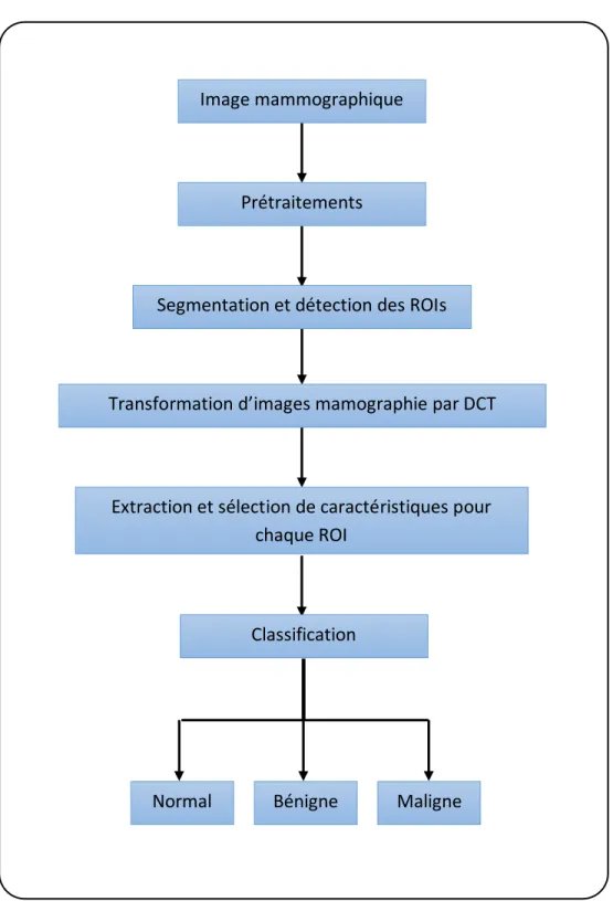Figure 3.1 : Les étapes de la méthode proposée Image mammographique 