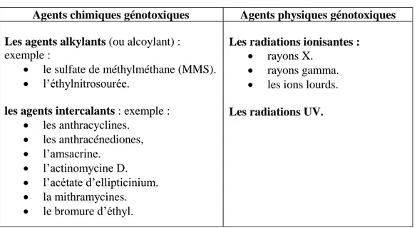 Tableau 06 : principaux agents modifiant l’ADN (38). 