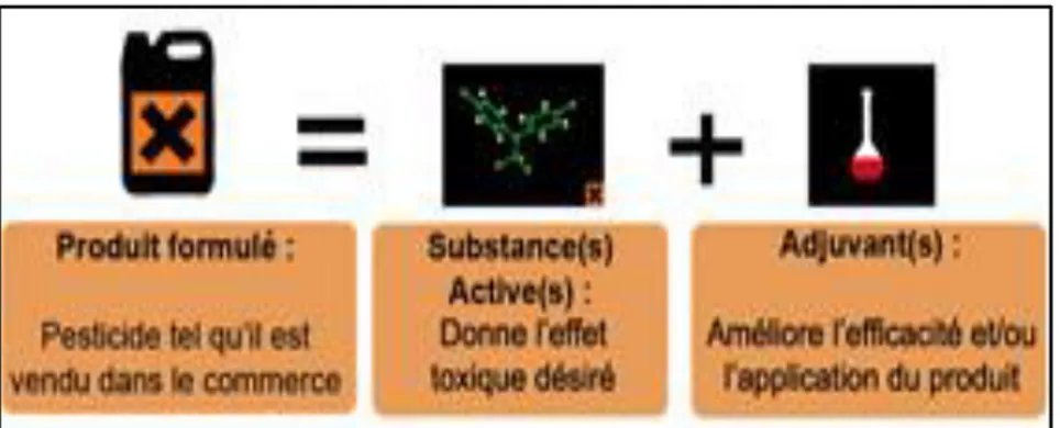 Figure 01. La composition d’un pesticide (9). 