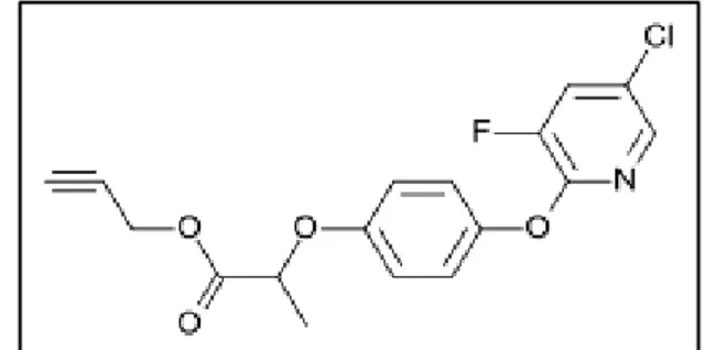 Figure 06. Structure chimique de clodinafop-propargyl [2]. 