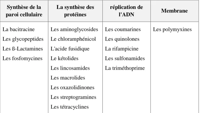 Tableau I.1: Les cibles des principales classes de médicaments antimicrobiens [12]. 