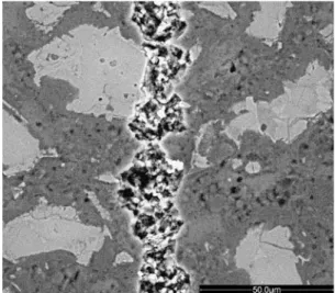 Fig. 4 Example of a back-scattered electron (BSE) image of a line of the overlapping laser ablation sites carried out using 30 fs single pulses of 12 lJ energy