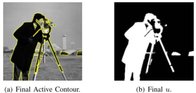 Fig. 7 Global minimization of the active contour/snake model using the Mumford–Shah’s model and the Chan–Vese’s model