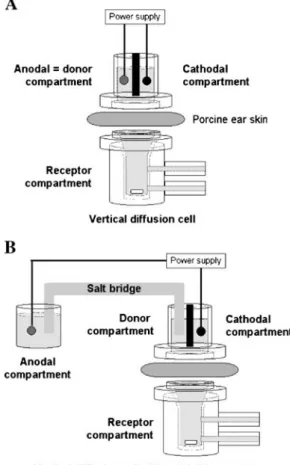 Fig. 1. Schematic representations of the iontophoretic diffusion cell assemblies used in this study.