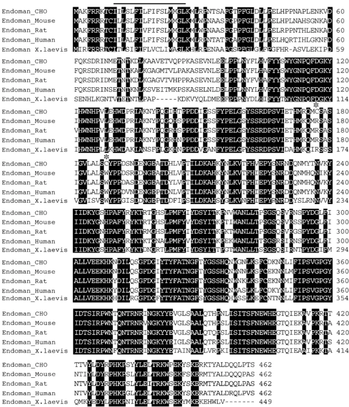 Figure 1. The conserved Arg177 and Trp188 are substituted by Cys in CHO cell endomannosidase