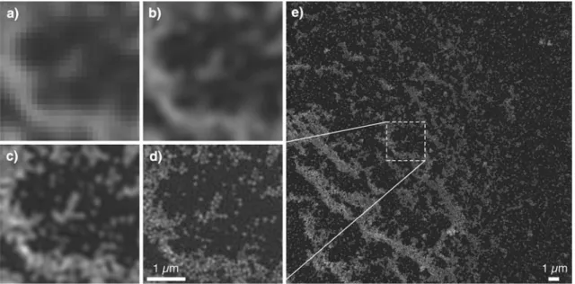 Fig. 9 A field of 50-nm fluorescent beads, imaged by conventional microscopy (a), conventional microscopy plus filtering (b), structured illumination with linear fluorophore response (c), and saturated structured illumination using illumination pulses of 5