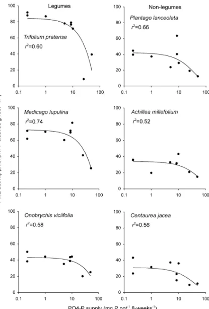 Fig. 2 Phosphomonoester- Phosphomonoester-ase (PME) activity of  legu-minous and non-legulegu-minous forbs along a gradient of P supply, expressed per g fresh root per hour