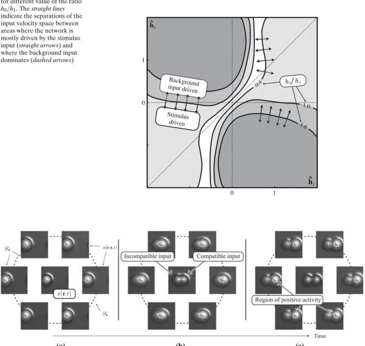 Fig. 10 Network response during a velocity discrimination task.