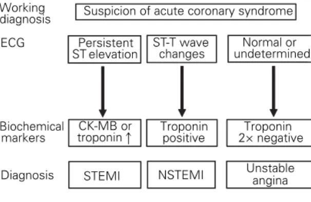 Abbildung 1. Eintei- Eintei-lung des akuten  Koro-narsyndroms anhand  der EKG-Befunde und  der Biomarker  (modifi-ziert nach [35]).