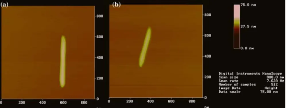 Figure 5. Real time AFM images of a dissolving manganite crystal. Image (a) before the addition of acid and image (b) is recorded after approximately 120 minutes reaction time.