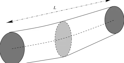 Fig. 2. A simple compliant tube of length L