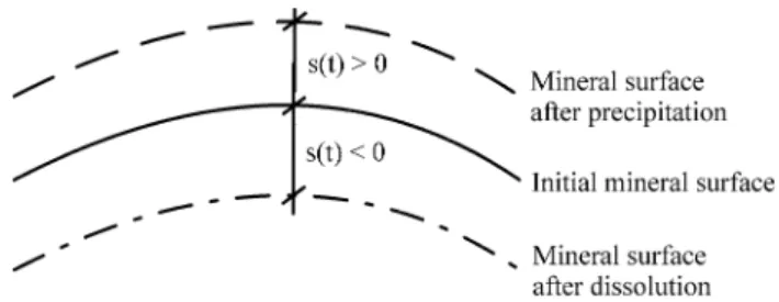 Fig. 3 Movement of mineral surface area due to dissolution or precipitation