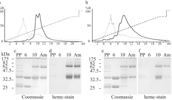 Fig. 3 Spectral analysis of purified maltose-binding protein – heme tag fusions. Dithionite-reduced minus air-oxidised optical difference spectra are shown