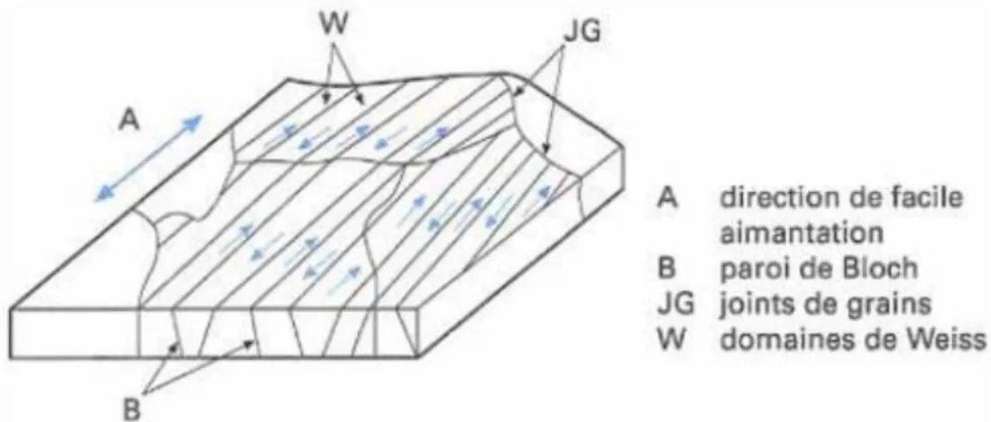 Figure I.2:Structure magnétique idéalisée dans un matériau poly cristallin [1].