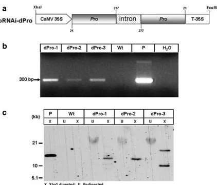 Table 1 The sequences and functions of primers and oligonucleotides used in the experiment