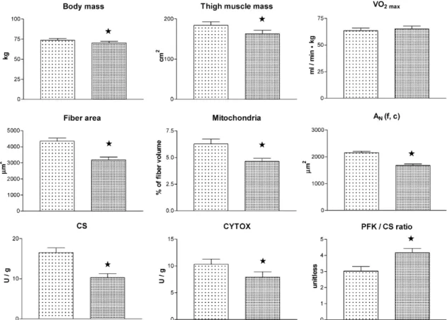 Fig. 4 Changes in body mass, thigh muscle mass determined by computer tomography, V_ O 2max , muscle ﬁbre area, volume density of mitochondria, muscle ﬁbre area perfused by one capillary [A N (f, c)], and muscle enzyme activities (CS citrate synthase, CYTO