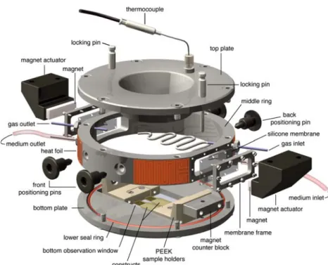 Fig. 2 Exploded view of the cell chamber equipped with two hydro- hydro-gel constructs showing all relevant components (black parts belong to the stimulation unit)