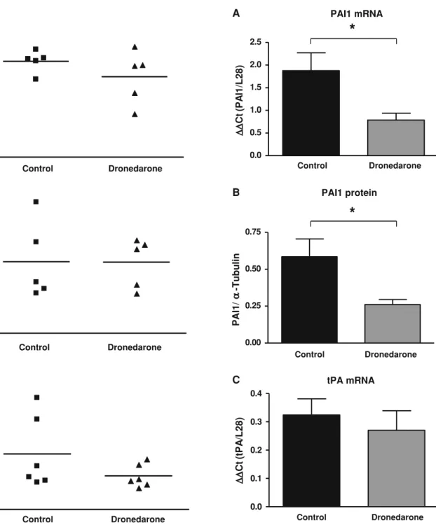 Fig. 3 Dronedarone does not change platelet turnover. a Total platelet number did not differ between the two groups (P = NS).