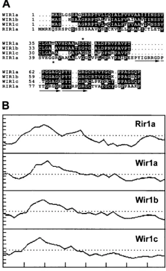 Figure 4A shows the time course of Rir1a tran- tran-script accumulation in rice leaves that have been  infil-trated with the resistance-inducing non-host pathogen P
