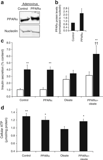 Fig. 2 Upregulation of PPARα and effects on glucose response in INS-1E cells. INS-1E cells were transduced with empty (control) or Pparα/Rxrα-expressing (PPARα) adenoviruses and, where indicated, subsequently cultured for 3 days in the presence of 0.4 mmol