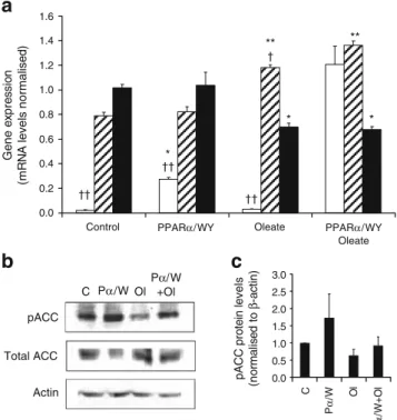 Fig. 4 Effects of oleate and PPAR α on expression of cellular fatty acid regulators. INS-1E cells were transduced with empty (control) or Pparα/Rxrα-expressing (PPARα or Pα) adenoviruses and  subse-quently cultured for 1 day in the absence or presence of P