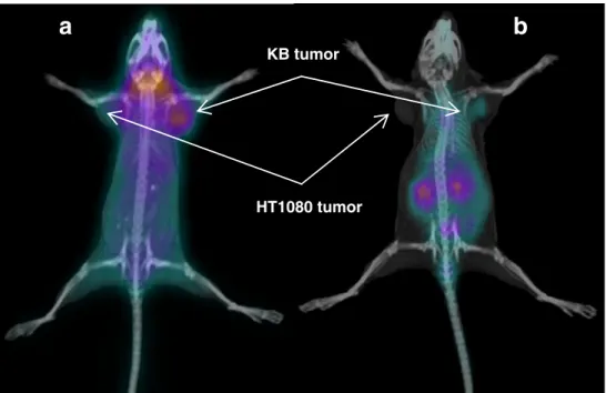 Fig. 5 PET/CT images 1 h p.i. of
