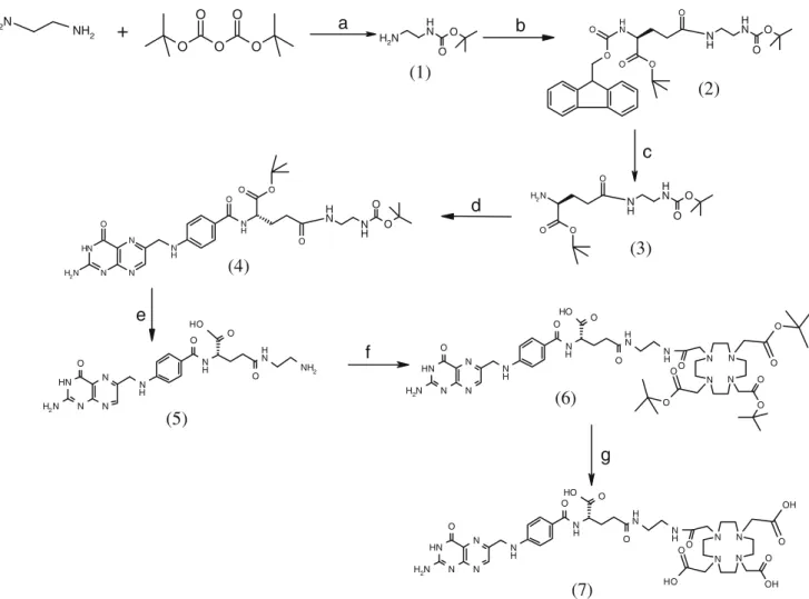 Fig. 2 Synthesis of P3026. a DCM; b Fmoc-Glu-OtBu, NHS/DCC, DCM; c 20% piperidine in acetonitrile; d pteroic acid, EDCI/HOBt, DMSO;