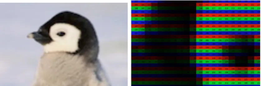 Figure 11 - An RGB image of a penguin encoded in a spreadsheet. Source: (Steckles, Hover, &amp; Taylor, s.d.)  Pre6processing(and(ground(truth(
