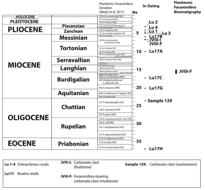 Table 1 includes 87 Sr/ 86 Sr data of the samples analysed, along with the nature of the material used for measurements