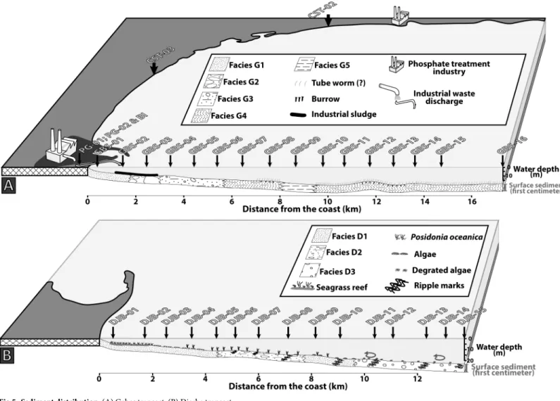 Fig 5. Sediment distribution. (A) Gabes transect. (B) Djerba transect.