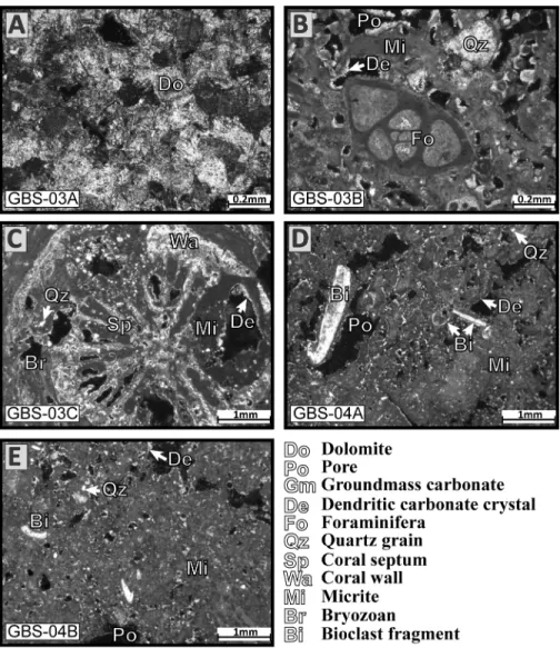 Fig 6. Thin section images of carbonate nodules. (A) Dolomite nodule from station GBS-03